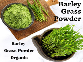 What Does Barley Grass Powder Do For You